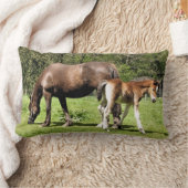 馬 ランバークッション (ブランケット)