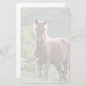 馬 便箋 (正面/裏面)