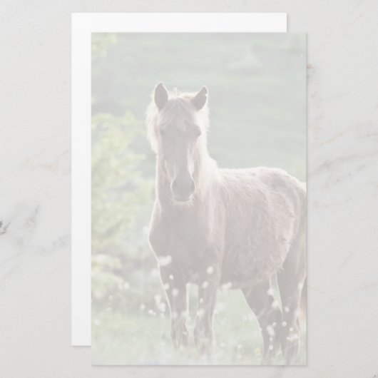 馬 便箋 (正面/裏面)