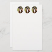 馬 便箋 (正面/裏面)