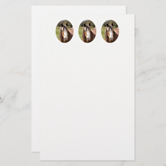 馬 便箋 (正面/裏面)