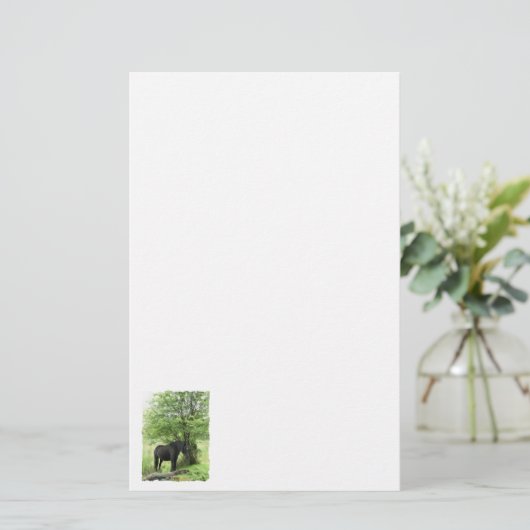 馬 便箋 (スタンド正面)