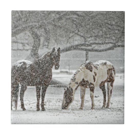 馬 冬 雪 農場 牧場 動物 雪景色 凍結 タイル (正面)
