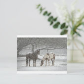 馬 冬 雪 農場 牧場 動物 雪景色 凍結 ポストカード (スタンド正面)