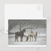 馬 冬 雪 農場 牧場 動物 雪景色 凍結 ポストカード (正面/裏面)