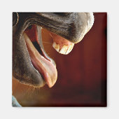 馬、口を開け、舌を突き出し、歯 マグネット (正面)