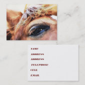 馬 名刺 (正面/裏面)