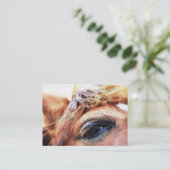 馬 名刺 (スタンド正面)