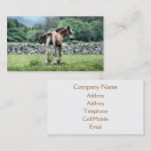 馬 名刺 (正面/裏面)