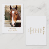 馬 名刺 (正面/裏面)