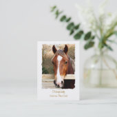 馬 名刺 (スタンド正面)