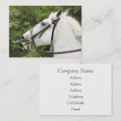 馬 名刺 (正面/裏面)
