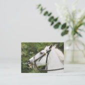 馬 名刺 (スタンド正面)