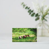 馬 名刺 (スタンド正面)