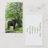 馬 名刺 (正面/裏面)