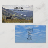 馬 名刺 (正面/裏面)