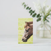 馬 名刺 (スタンド正面)