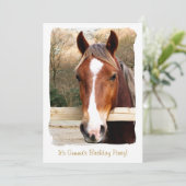 馬 招待状 (スタンド正面)