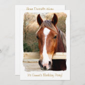 馬 招待状 (正面/裏面)