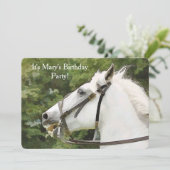 馬 招待状 (スタンド正面)