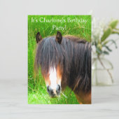 馬 招待状 (スタンド正面)