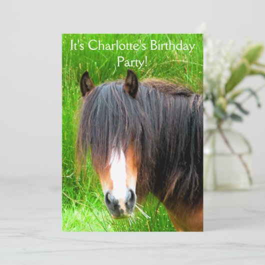 馬 招待状 (スタンド正面)