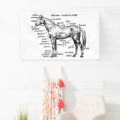 馬 横断幕 (インサイチュ)