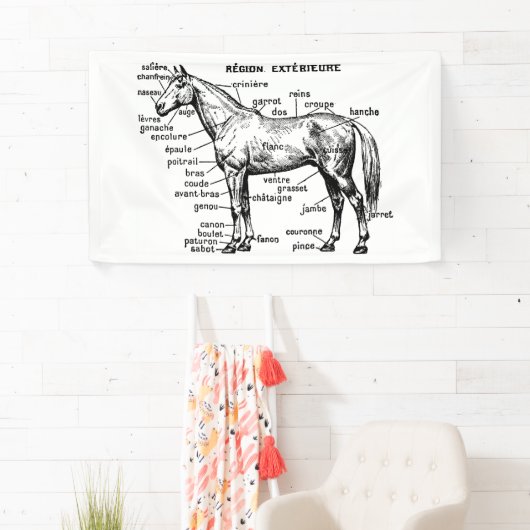 馬 横断幕 (インサイチュ)