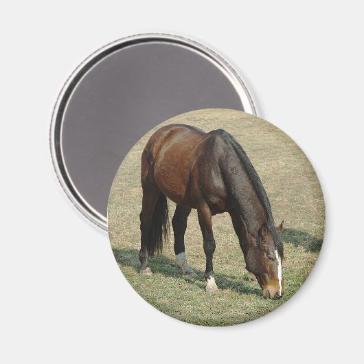 馬 – 磁石 (正面/裏面)