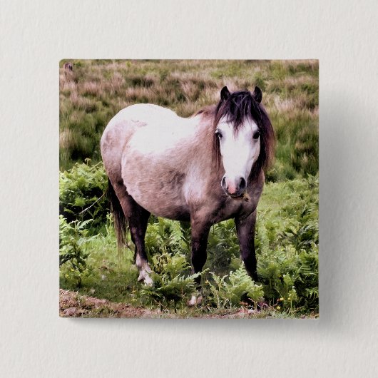 馬 缶バッジ (正面)