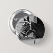 馬 缶バッジ (正面&裏面)