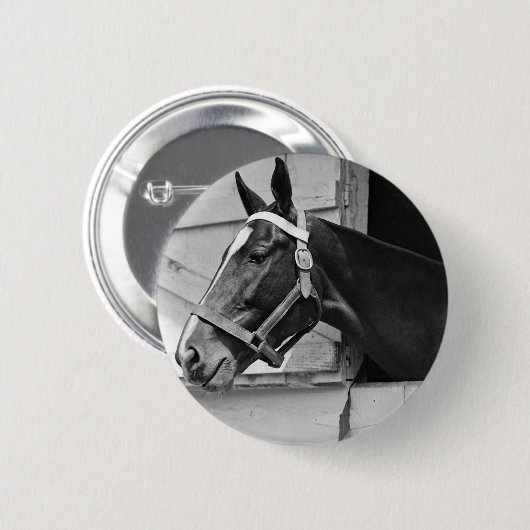 馬 缶バッジ (正面&裏面)