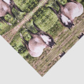 馬 薄葉紙 (詳細)