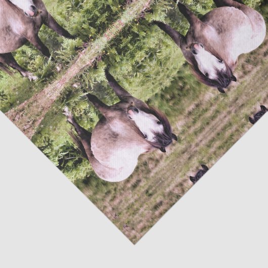 馬 薄葉紙 (詳細)