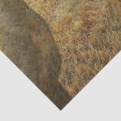 馬 薄葉紙 (詳細)