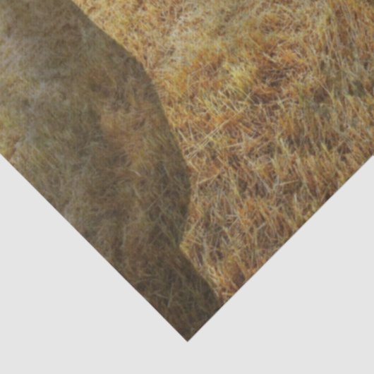 馬 薄葉紙 (詳細)