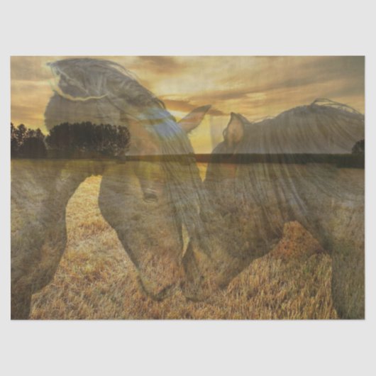 馬 薄葉紙 (正面)