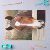 馬 薄葉紙 (クラフト)