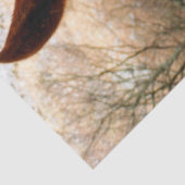 馬 薄葉紙 (詳細)