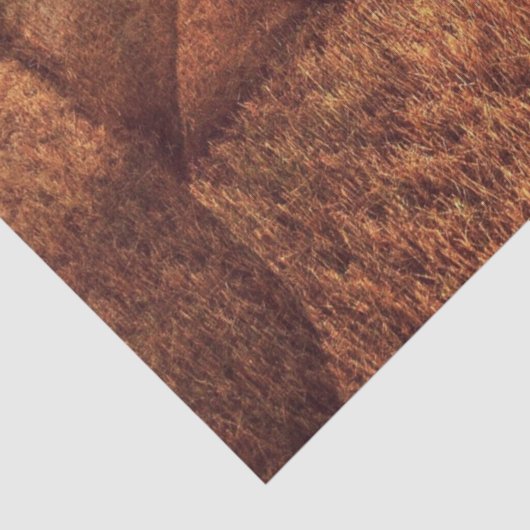 馬 薄葉紙 (詳細)