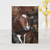 馬、馬、CADに挨拶している馬 カード (黄色い花)