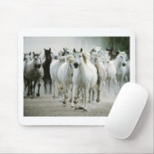 馬(1) マウスパッド (マウス)