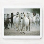 馬(1) マウスパッド (正面)