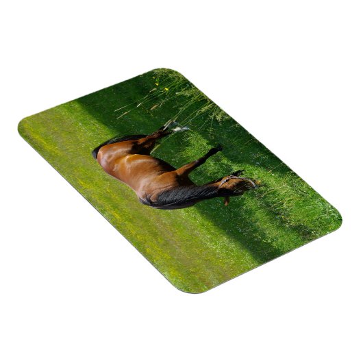 馬#1 マグネット (右側)