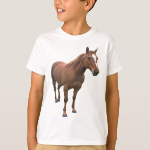 馬 Tシャツ