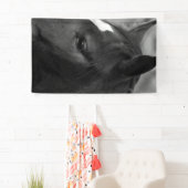 馬bnrcna 横断幕 (インサイチュ)