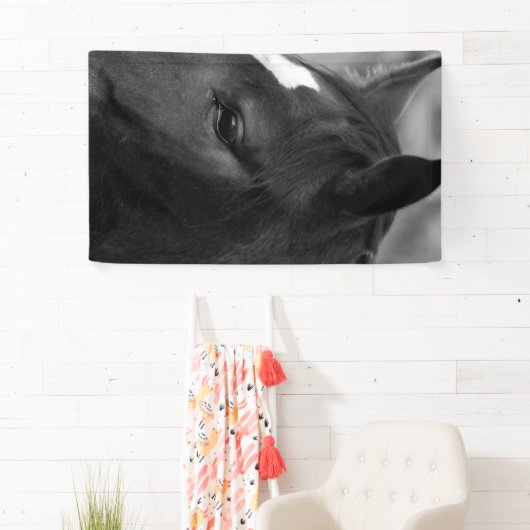 馬bnrcna 横断幕 (インサイチュ)