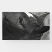 馬bnrcna 横断幕 (横)