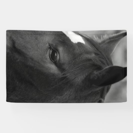 馬bnrcna 横断幕 (横)