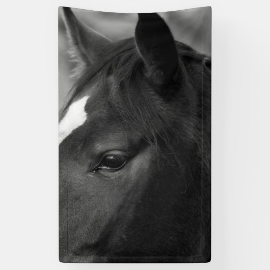 馬bnrcna 横断幕 (縦)